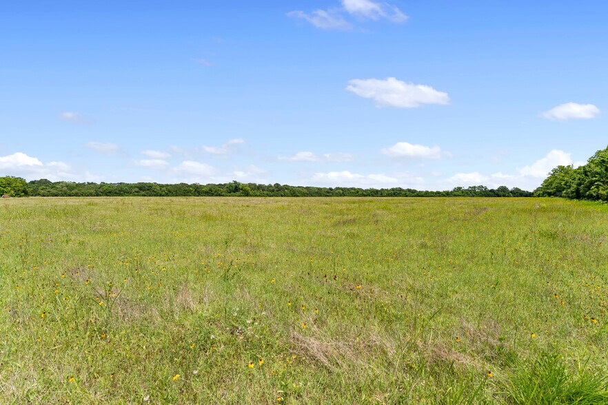 More Photos Of 10840 FM 442, Boling Land For Sale