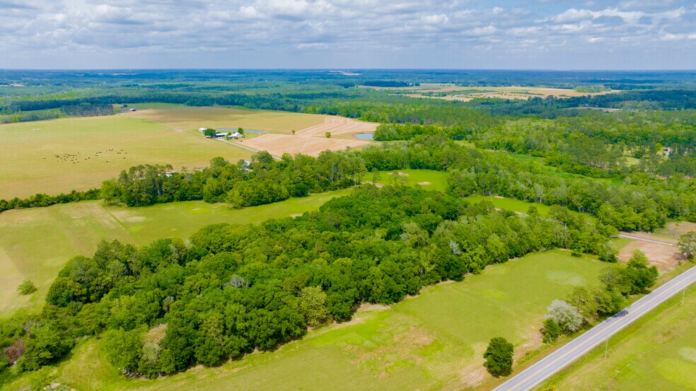 More Photos Of 24795 Hwy 32, Elberta Land For Sale