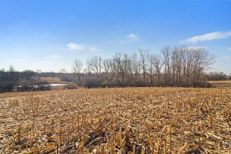 More Photos Of 19925 W Indian Creek Rd, Long Grove Land For Sale