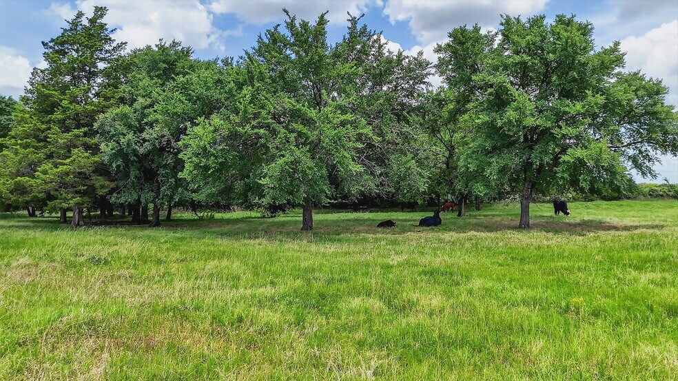 More Photos Of 2869 Ranch Rd, Whitesboro Land For Sale
