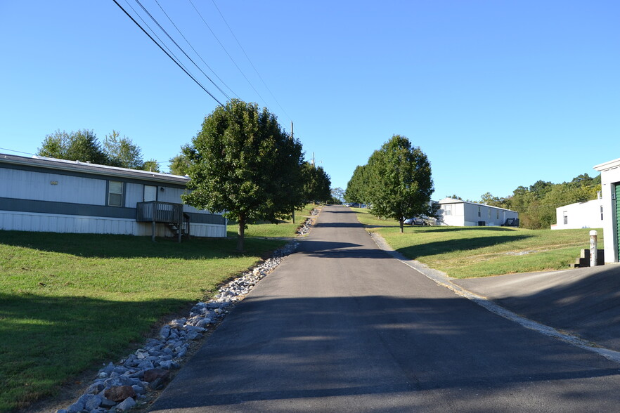 Primary Photo Of 162 Shanks Gap Rd, Rogersville Manufactured Housing Mobile Home Park For Sale