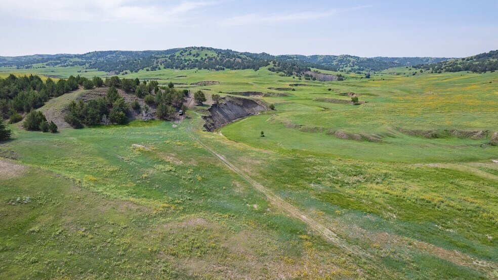 More Photos Of 21627 Hardingrove Rd, Milesville Land For Sale