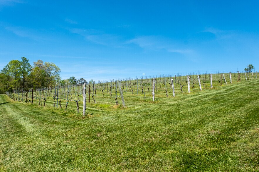 More Photos Of 318 Elkin Creek Mill Rd, Elkin Winery Vineyard For Sale