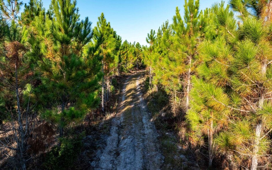 More Photos Of 92nd Path, Wellborn Land For Sale