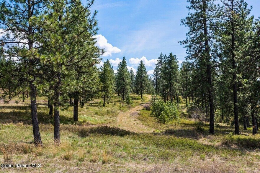 More Photos Of Stonegate at Harrison, Harrison Land For Sale