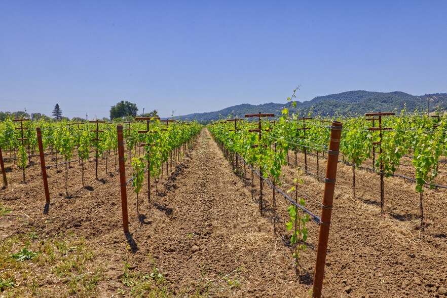 More Photos Of 6160 St Helena hwy, Napa Land For Sale