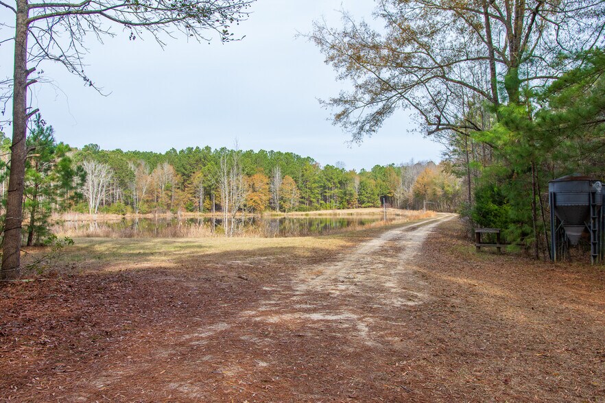 More Photos Of 409 Windward Ave, Orangeburg Land For Sale