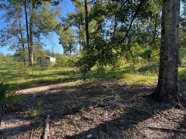 More Photos Of 29960 Henderson Ln, Walker Land For Sale