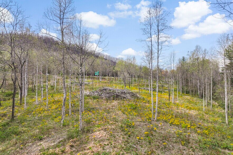 More Photos Of 110 Laurel Acres Ln, Flat Rock Land For Sale