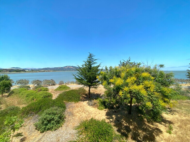 More Photos Of 2165 E Francisco Blvd, San Rafael Unknown For Lease