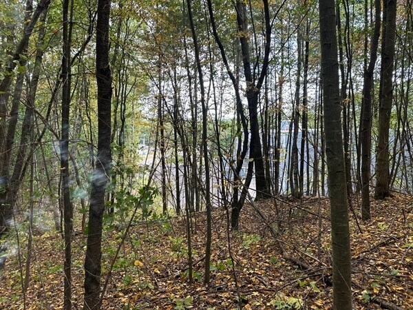 More Photos Of 160 Brookline St, Worcester Land For Sale