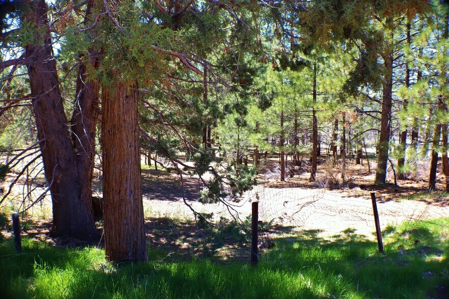 More Photos Of 42167 Big Bear Blvd, Big Bear Lake Land For Lease