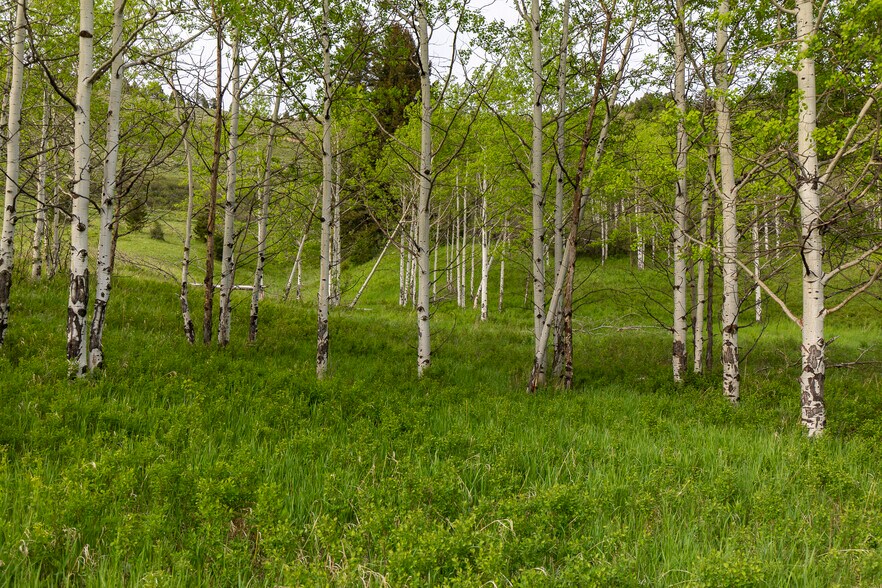 More Photos Of 3 Trail Creek Rd, Bozeman Land For Sale