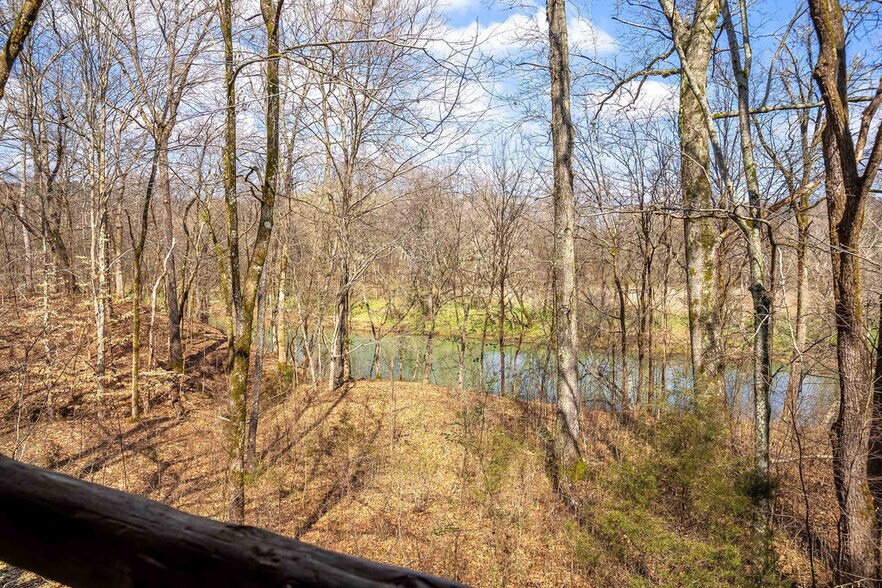 More Photos Of 0 Hwy 13, Linden Land For Sale