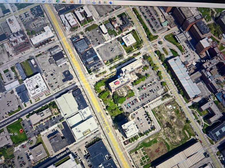 More Photos Of 109-111 W Alexandrine St, Detroit Land For Sale