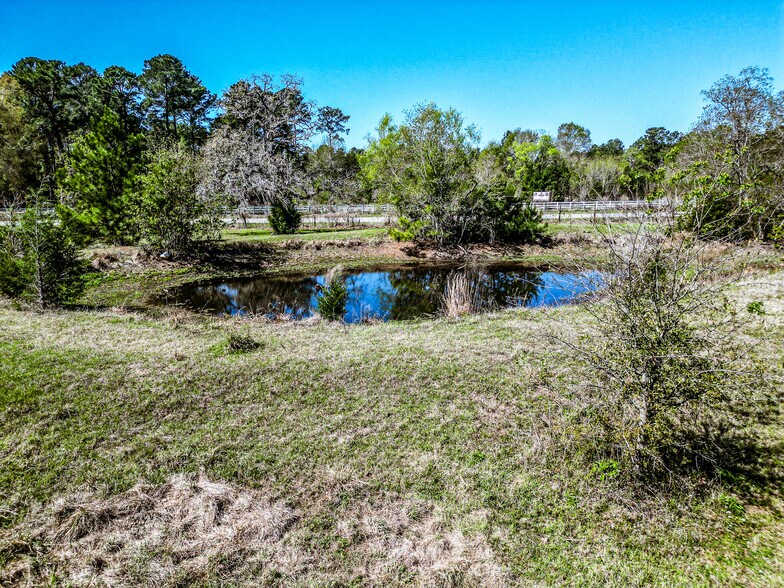 More Photos Of 25790 Lakeside Dr, Hockley Land For Sale