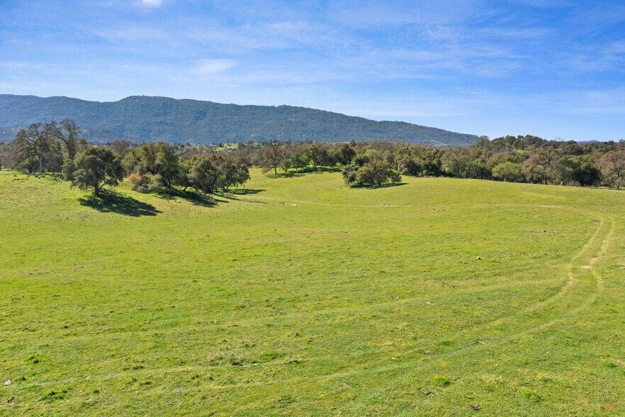 More Photos Of 1229 Murray Creek, San Andreas Land For Sale