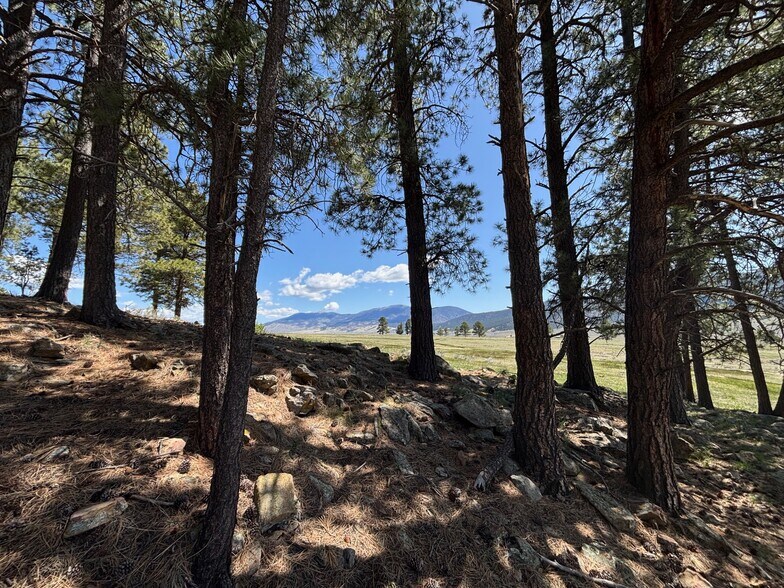 More Photos Of 27989 Highway 64, Eagle Nest Land For Sale
