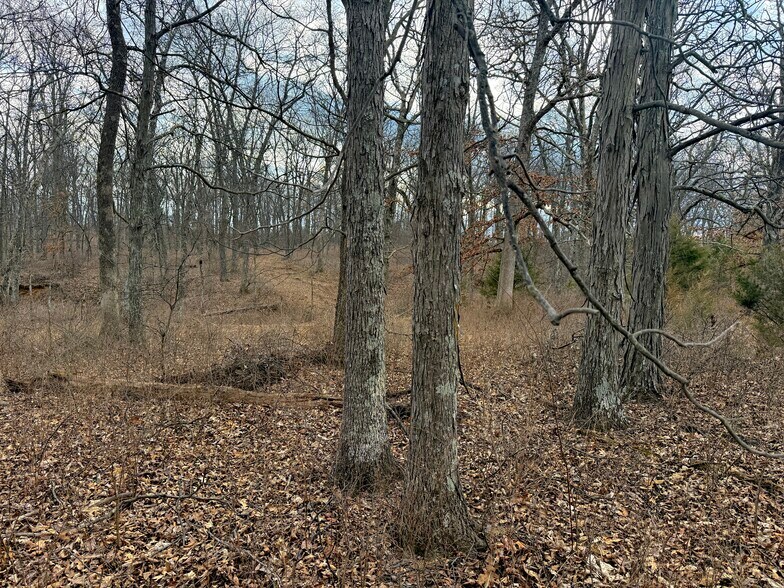 More Photos Of Pike 49 (12+/- Acres), Frankford Land For Sale