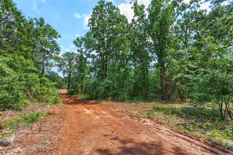 More Photos Of TBD State Hwy 64, Tyler Land For Sale