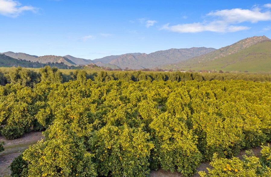More Photos Of 19400 Avenue 398, Woodlake Land For Sale