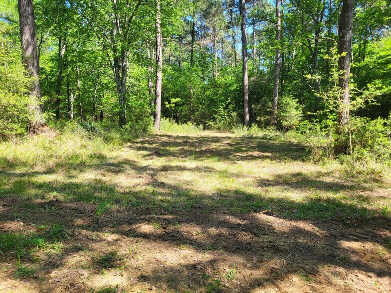 More Photos Of 500 S Pine Lake Rd, Montgomery Land For Sale