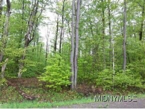 Primary Photo Of 132 W Fiery Hill Rd, Little Falls Land For Sale