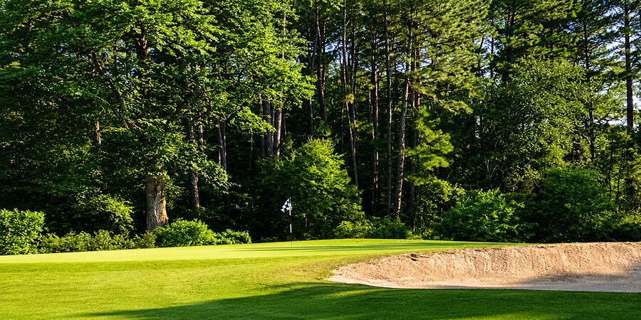 More Photos Of 30000 Deercroft Dr, Wagram Golf Course Driving Range For Sale