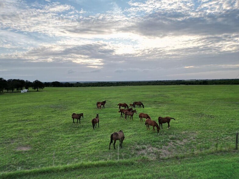 More Photos Of 951 FM 1476, Dublin Land For Sale