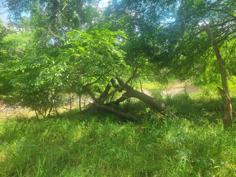 More Photos Of TBD FM 2268, Holland Land For Sale