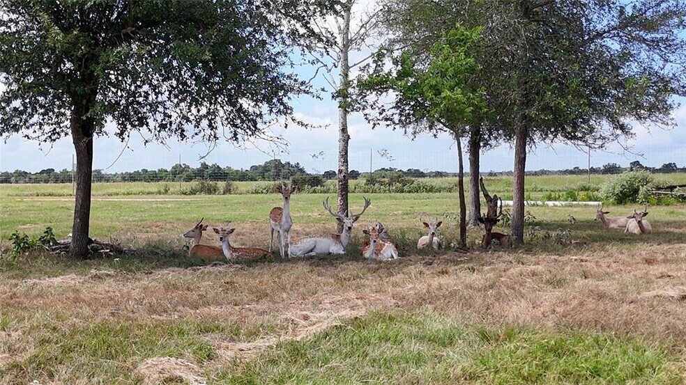 More Photos Of TBD Watterson rd, Red Rock Land For Sale