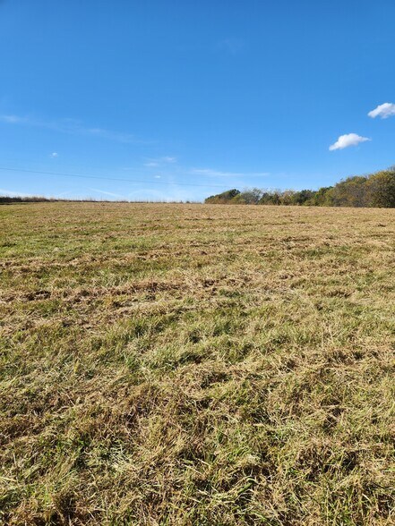 More Photos Of County Road 197 (5+/- Acres) Tract 3, Williamsburg Land For Sale
