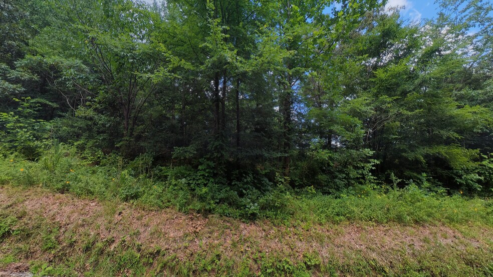 More Photos Of 457 Pitcher Rd S, Morgantown Land For Sale