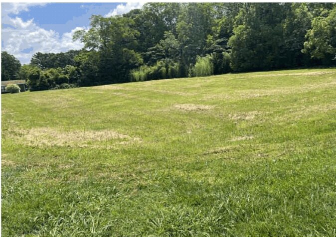 Primary Photo Of 170 S Jeff Davis Dr, Fayetteville Land For Sale