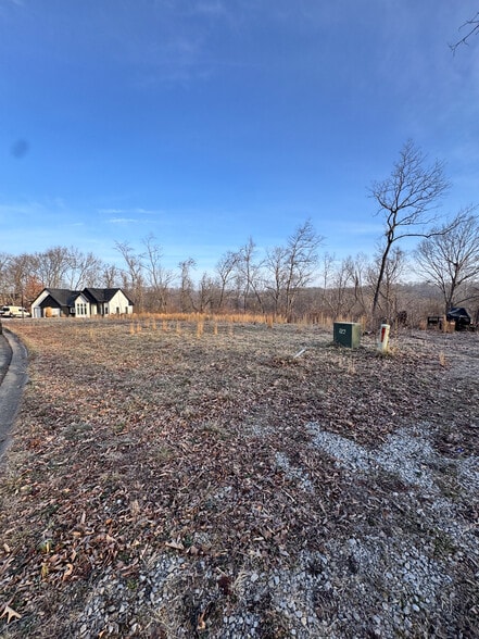 More Photos Of Willis Lane, Pea Ridge Land For Sale