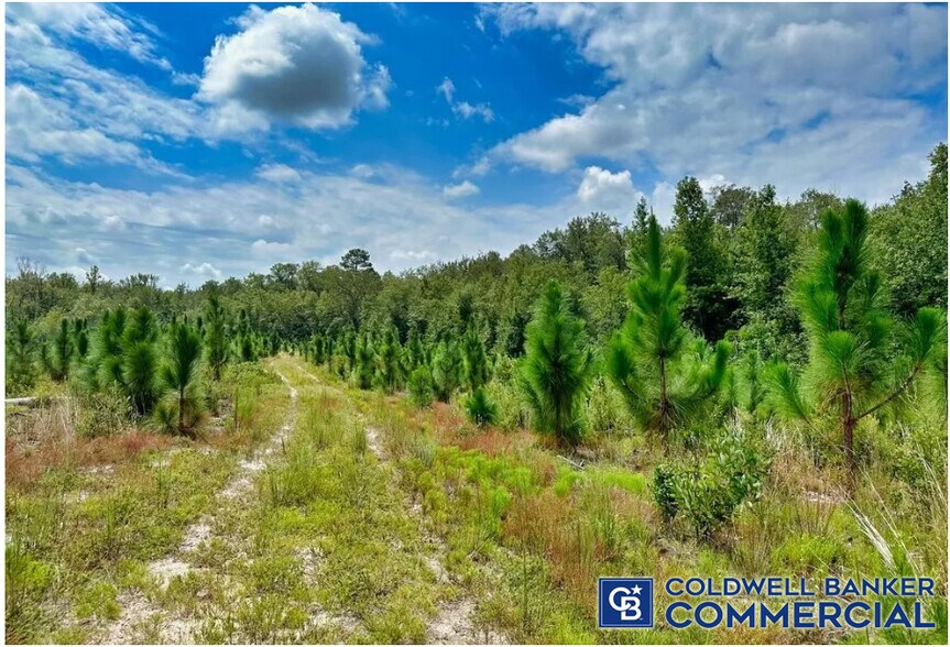 More Photos Of 1340 Clayton Rd, Ridge Spring Land For Sale