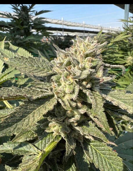 More Photos Of 23855 Rd 12 NW, Quincy Land For Lease