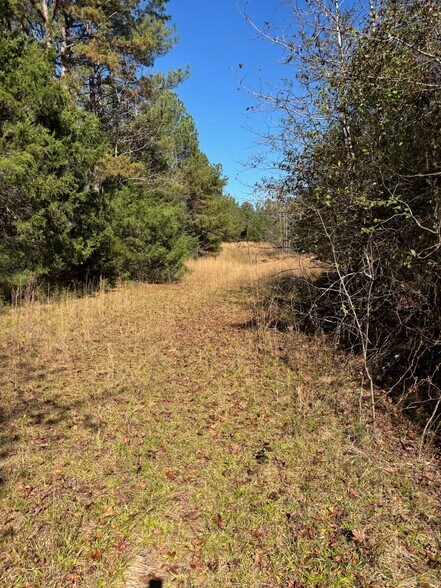 More Photos Of 169 Stone Dr, Belton Land For Sale