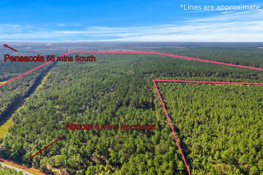 More Photos Of 0 Nokomis Road, Walnut Hill Land For Sale