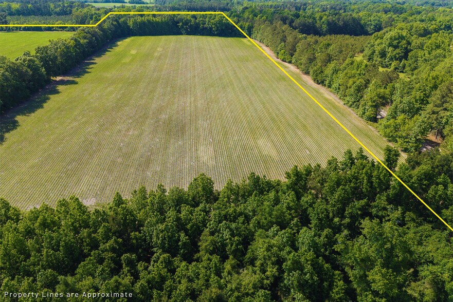 More Photos Of 0 155.9 ac Westberry Dr, Vance Land For Sale
