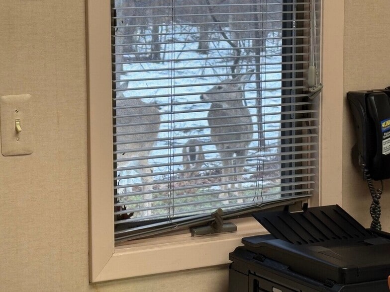 More Photos Of 33 Village Ct, Hazlet Office For Sale