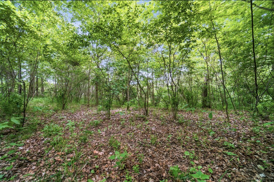 More Photos Of 30-Acres Wolfpen Pleasant Hill Rd, Day Heights Land For Sale