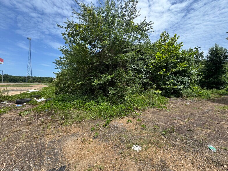 More Photos Of 24022 Highway 12, Lexington Land For Sale