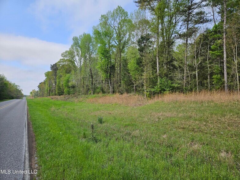 More Photos Of 0 Hwy 43, Silver Creek Land For Sale