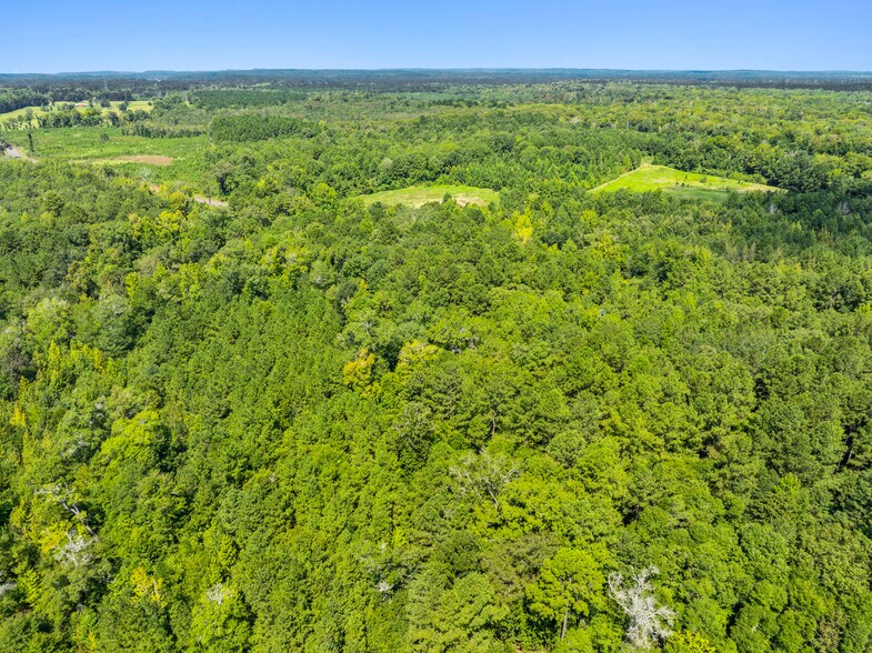 More Photos Of 7471 Highway 155, Saline Land For Sale