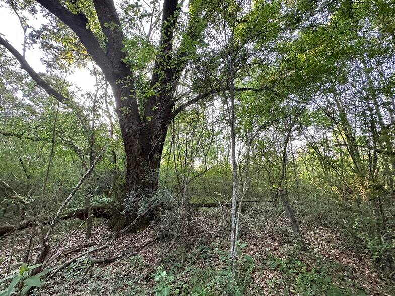 More Photos Of 0 Wilmer, Wilmer Land For Sale