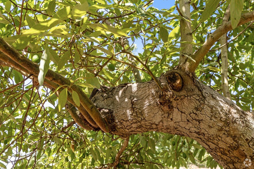 More Photos Of 36727 Muutama Ln, Valley Center Land For Sale