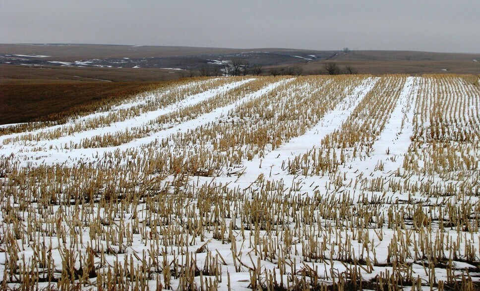 More Photos Of 27522 244th St, Murdo Land For Sale