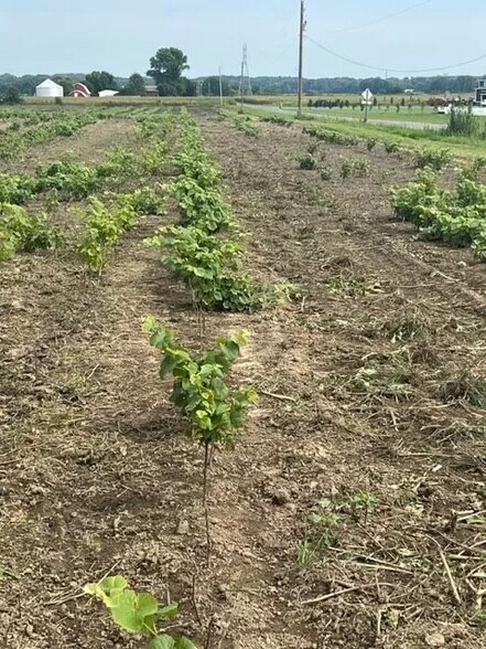 More Photos Of 9555 Gast Rd, Bridgman Shelter For Sale