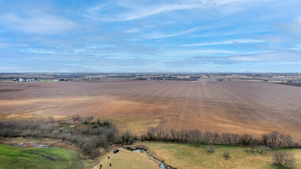 More Photos Of 1051 CR 369, Taylor Land For Sale